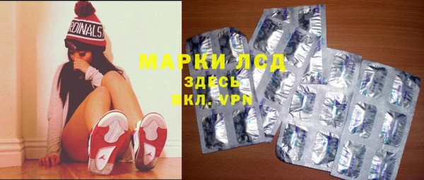 spice Алзамай
