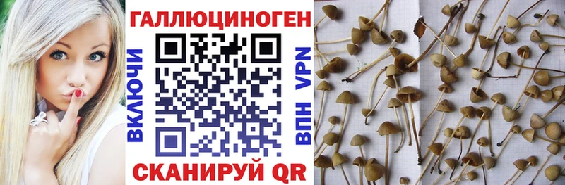 Галлюциногенные грибы ЛСД  darknet Telegram  Ленинск 